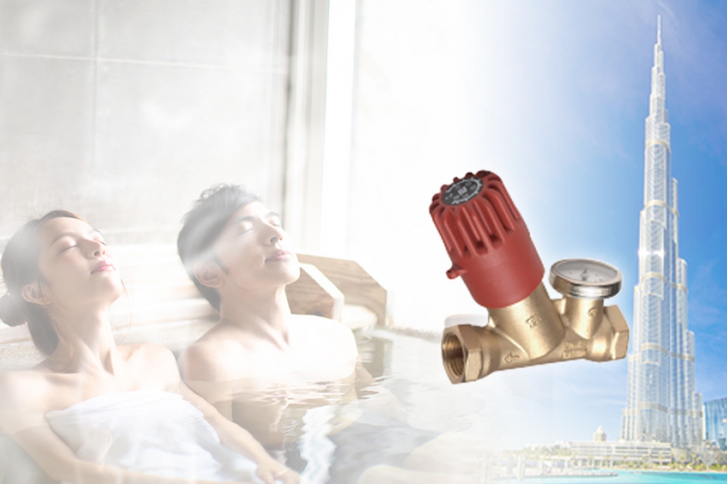 Domestic Hot Water Circulation System(圖)