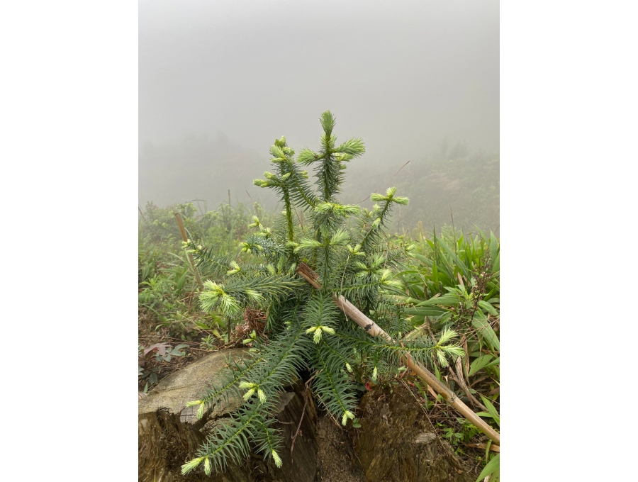 LINE_ALBUM_230502_302