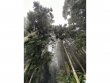 LINE_ALBUM_230502_193